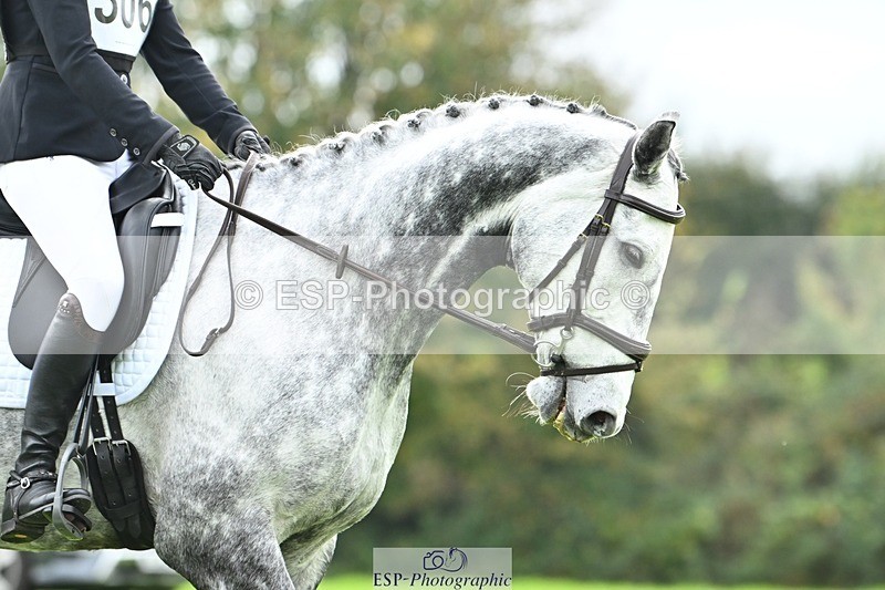 241024-103332-02203 - 306-Alice.Sandiford-THE.GREY.DANCER