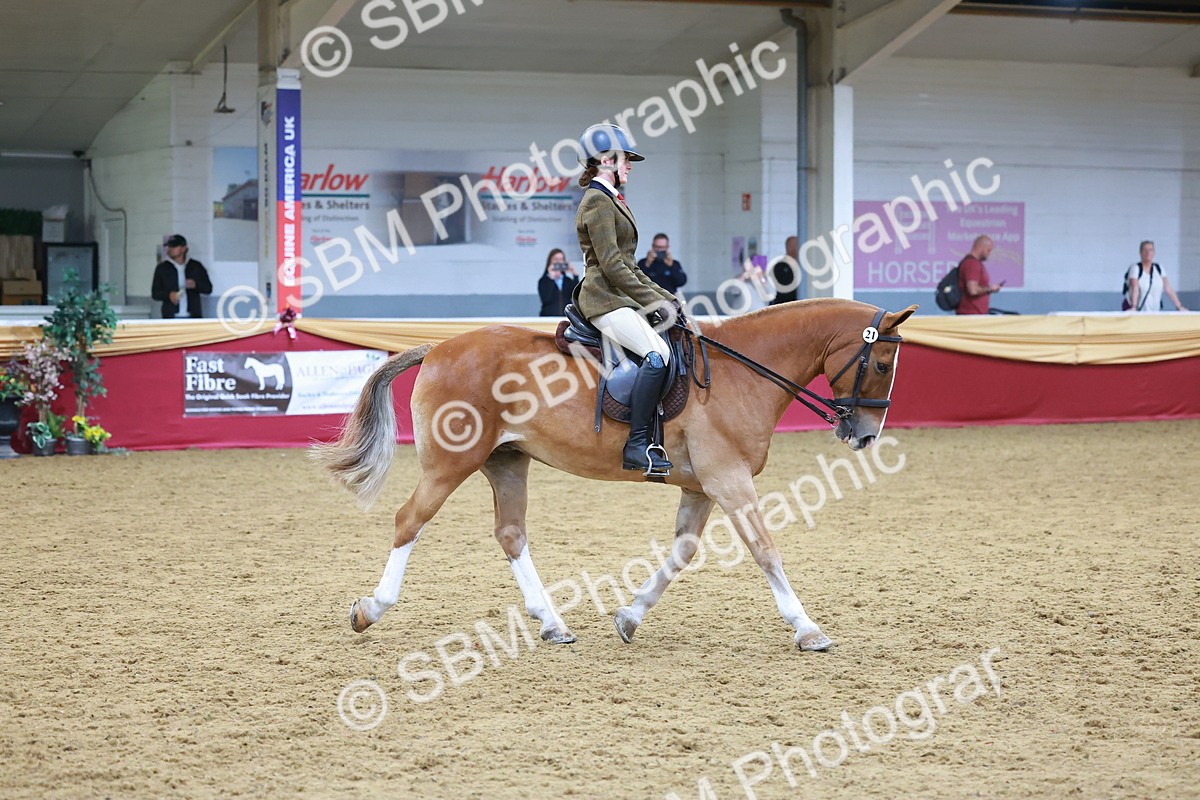 SBM_05411 - Class 11R - Ridden Veteran