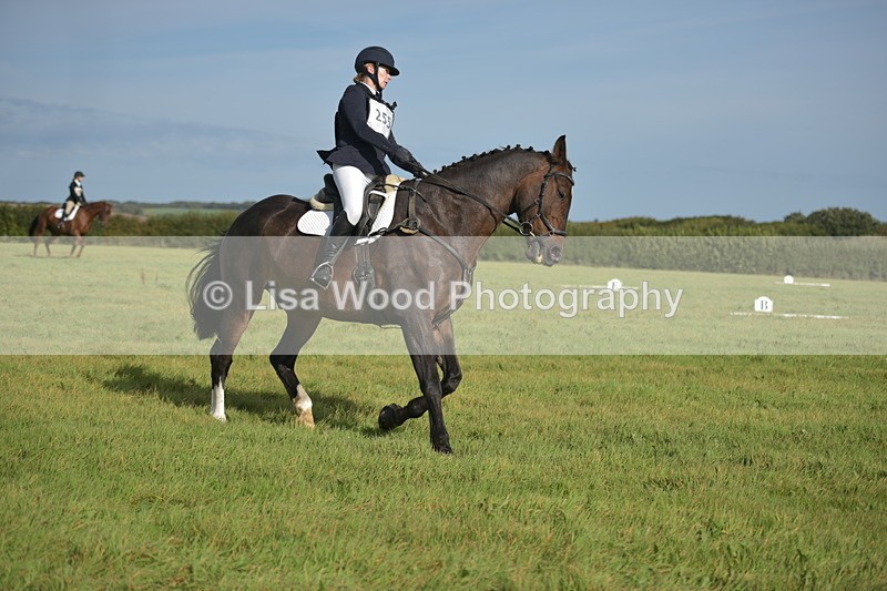 RAY_7501 - Class 2B: Trekenning Open: Dressage