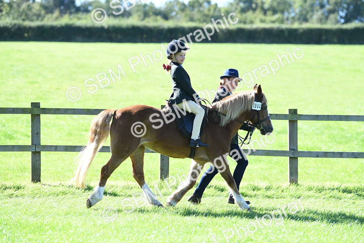SBM_39523 - S18 - Novice & Newcomers Lead Rein Pony