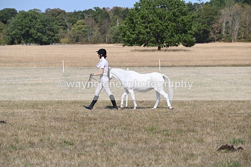 WJ6_9422 - Class 40 Cheekiest Pony/Horse
