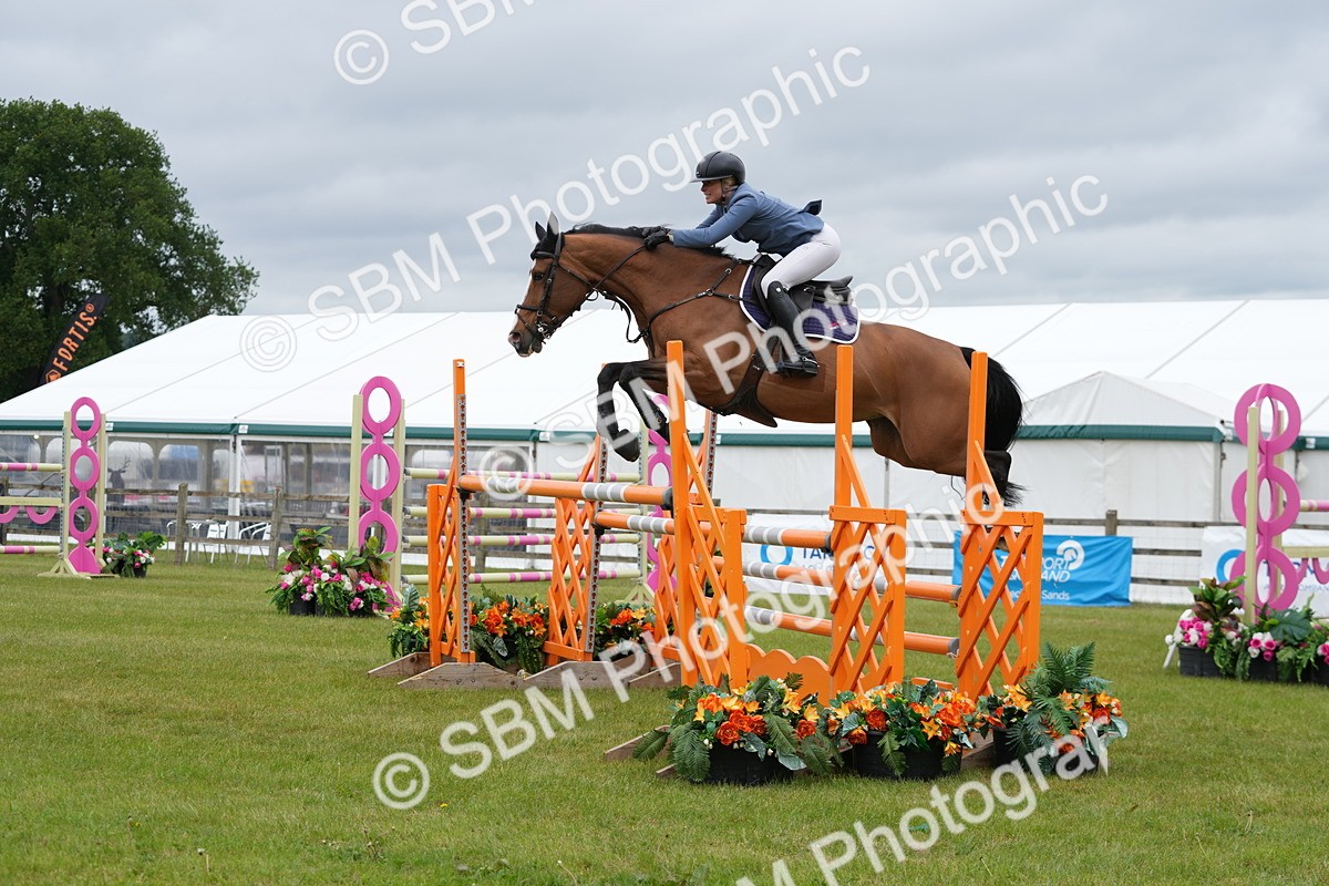 SBM_03362 - Class 201 - British Horse Feeds Speedi Beet Horse of the Year Show Grade  C