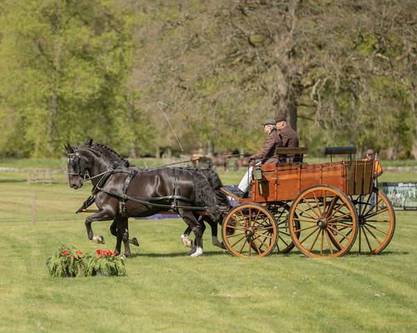 Attelage -709 - CIAT Glamis 2026