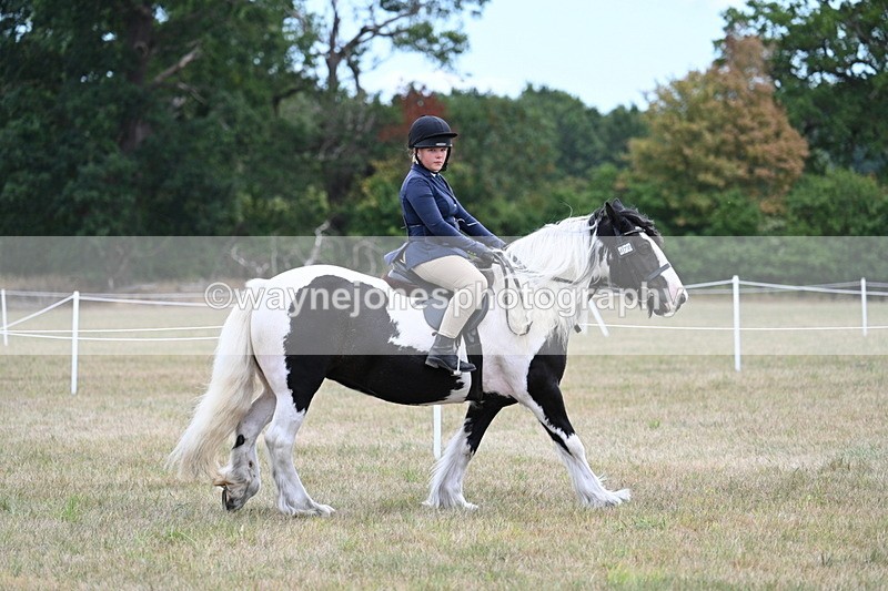 WJ7_4698 - Class 12 Ridden Cob