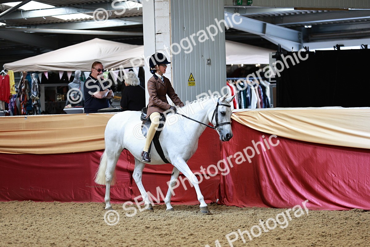 SBM_02982_Class 5a - Area - Ridden Veteran - Vicky Gutteridge