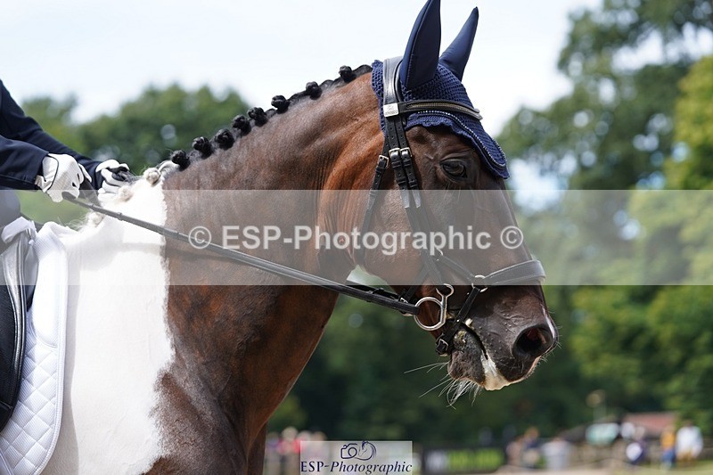 240721-113156-07823 - 124-Sophie_Savage-Two_Tone_Ted