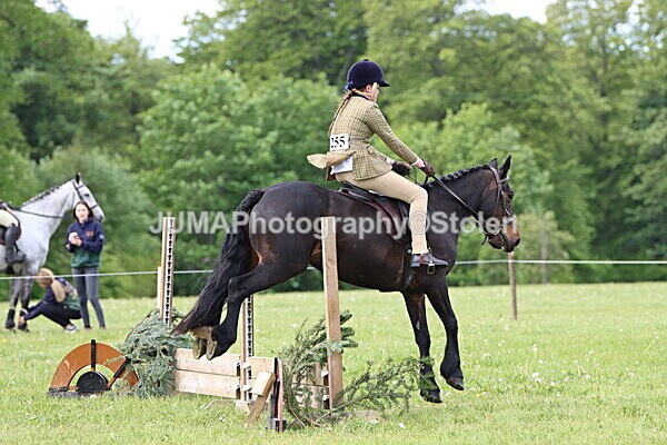 IMG_2485 - Working Hunter