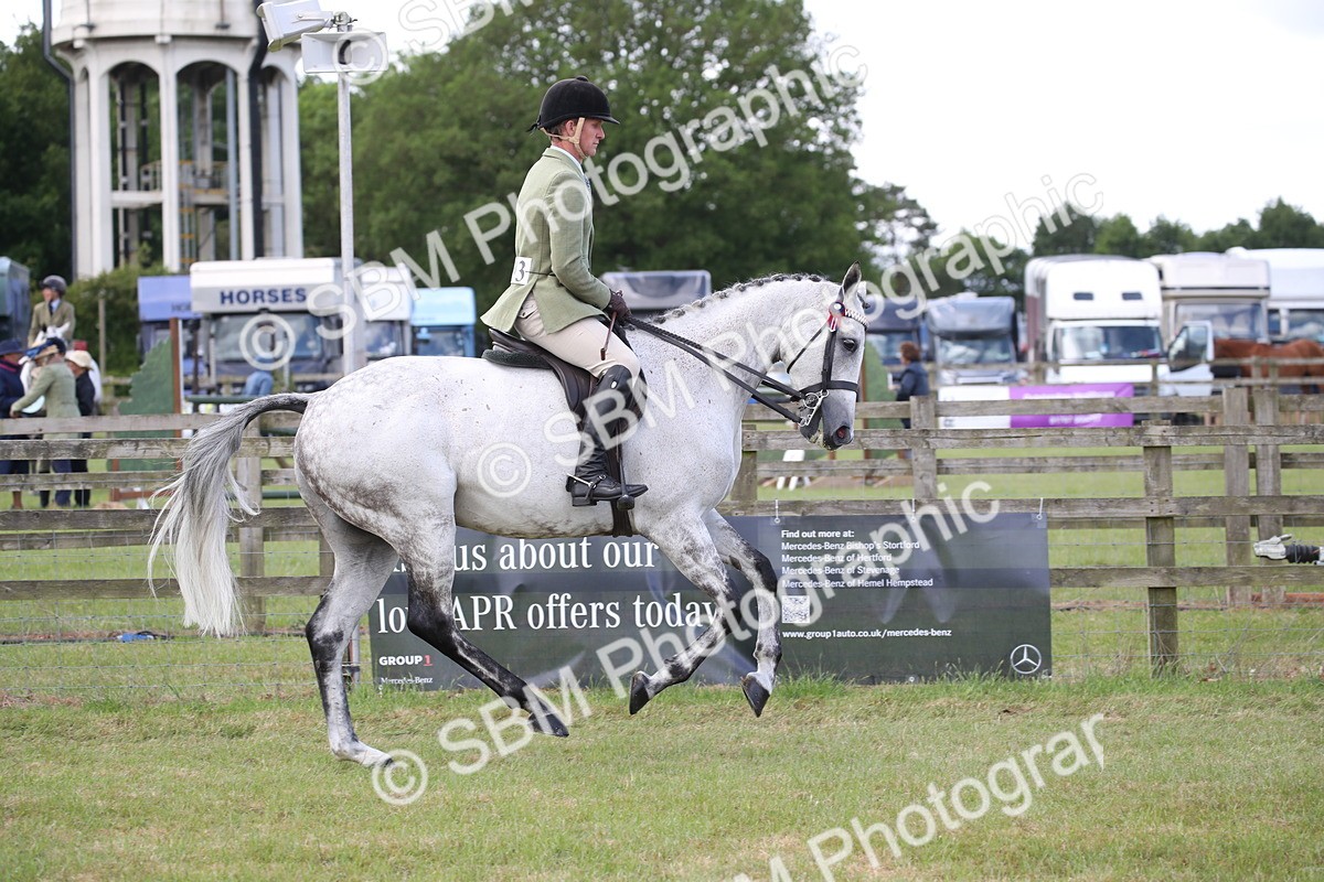 SBM_14185 - Class 113-114 - Retraining of Racehorses Ridden