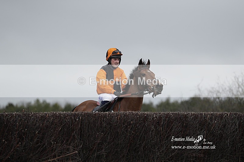 PtP 260323 0688 - New Forest Hounds Point-to-Point Larkhill 26/03/23