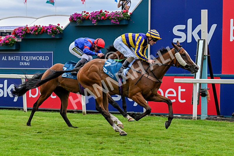 250726-Race 4-Dwindling Funds-0960 - Race 4 15.05pm Sky Bet For The Fans Handicap