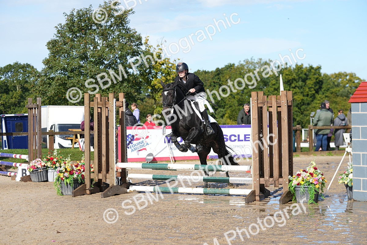 SBM_38154 - J6 - Junior Pony 55cm Championship