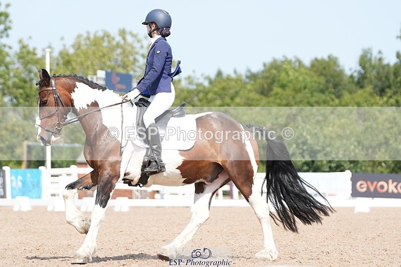 250817-122557-09317 - 050-Mollie.SheathTouch.Wood