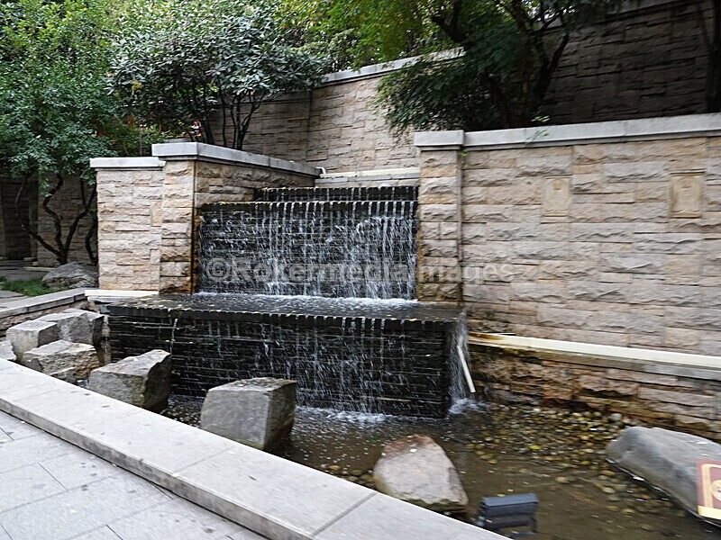 CHINA__0998 - China 2019