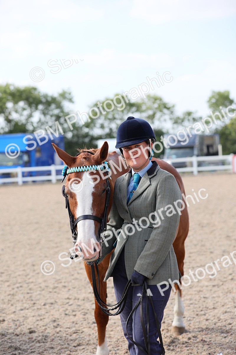 SBM_15765 - Class 312 IH Competition Horse/Pony