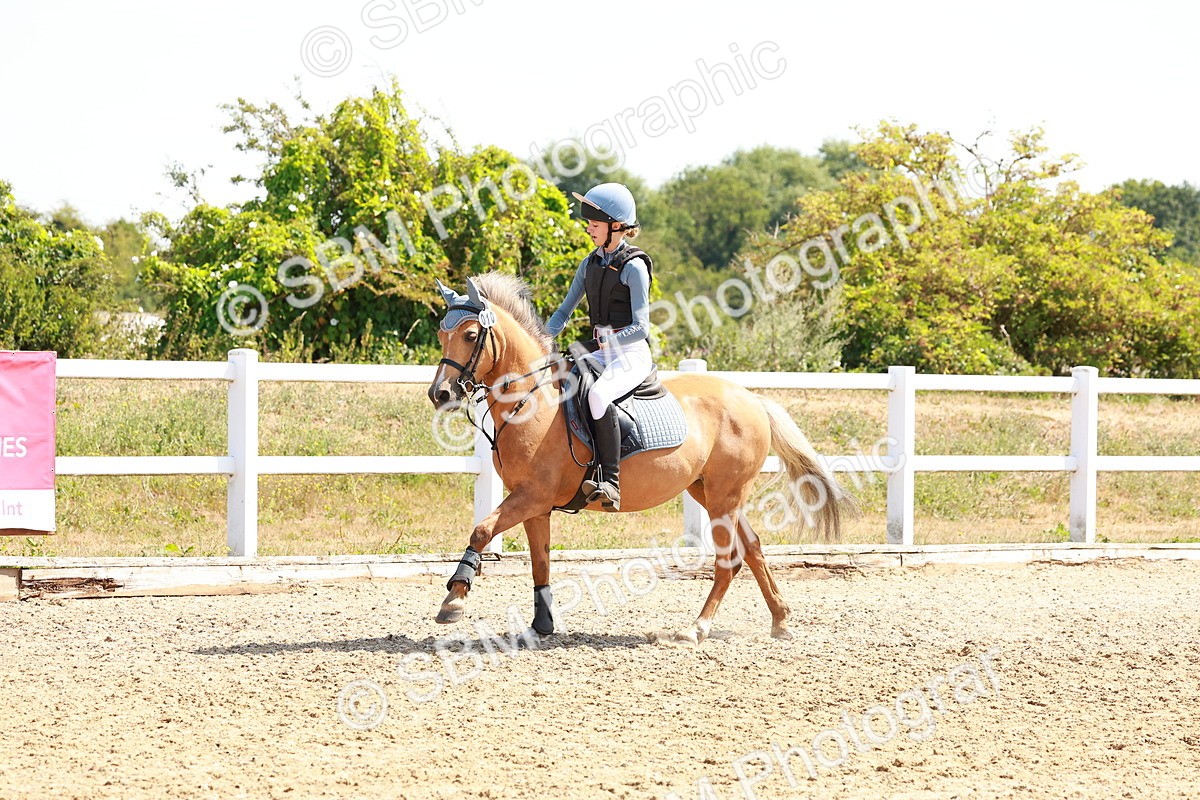 SBM_002153 - AE - 70cm