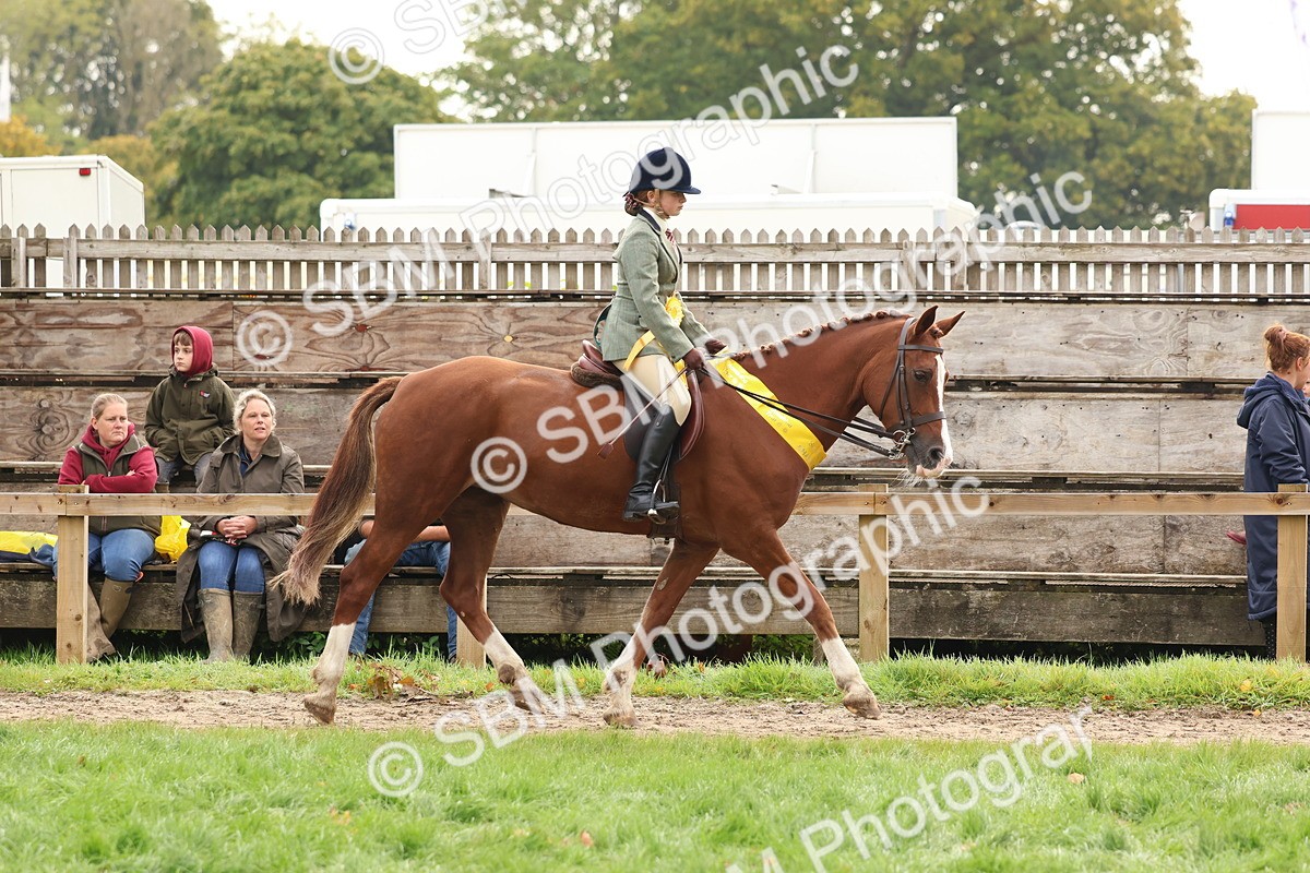 SBM_59760 - Start Supreme Championship