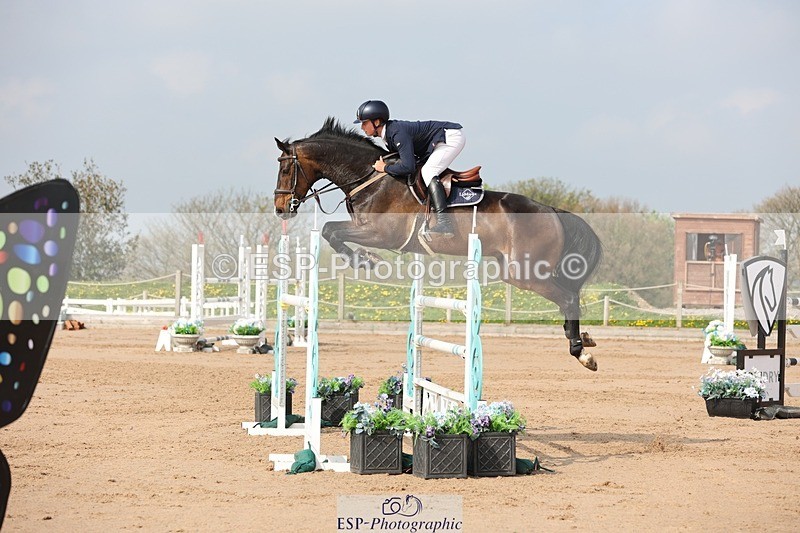 250424-103803-03140 - Cls 33 Young Horse 7yr old