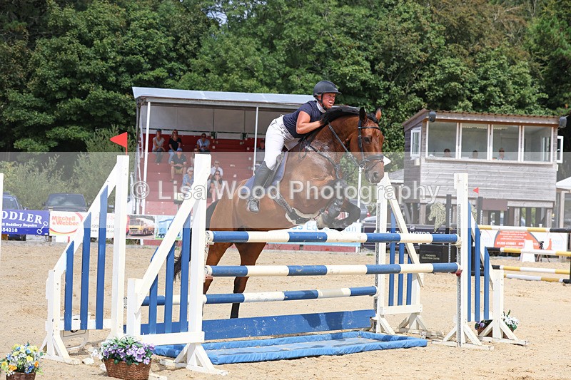 3E7A1940 - Class 9: Senior Foxhunter/1.20 open