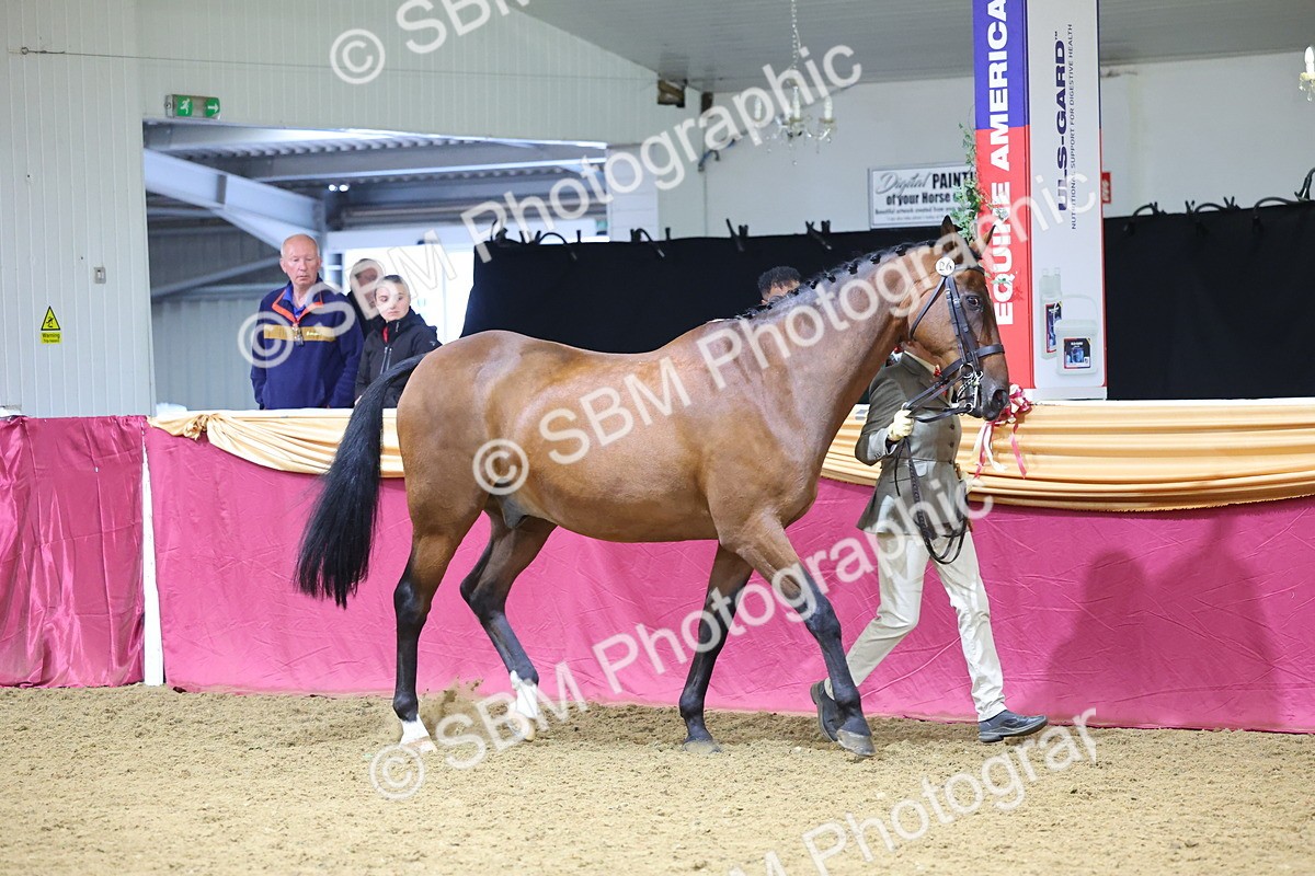 SBM_19416 - Class 901 - Supreme Final - IH Diamond