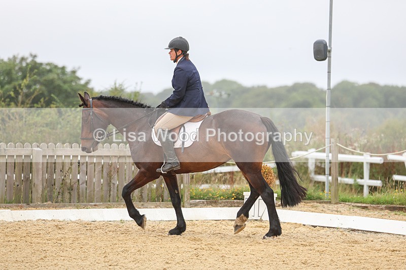 3E7A5530 - Class 2: Intro 4 2024 section B