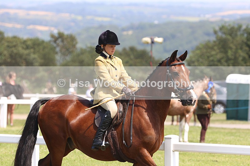 JPP_3209 - Class 22: Working Hunter 70cm