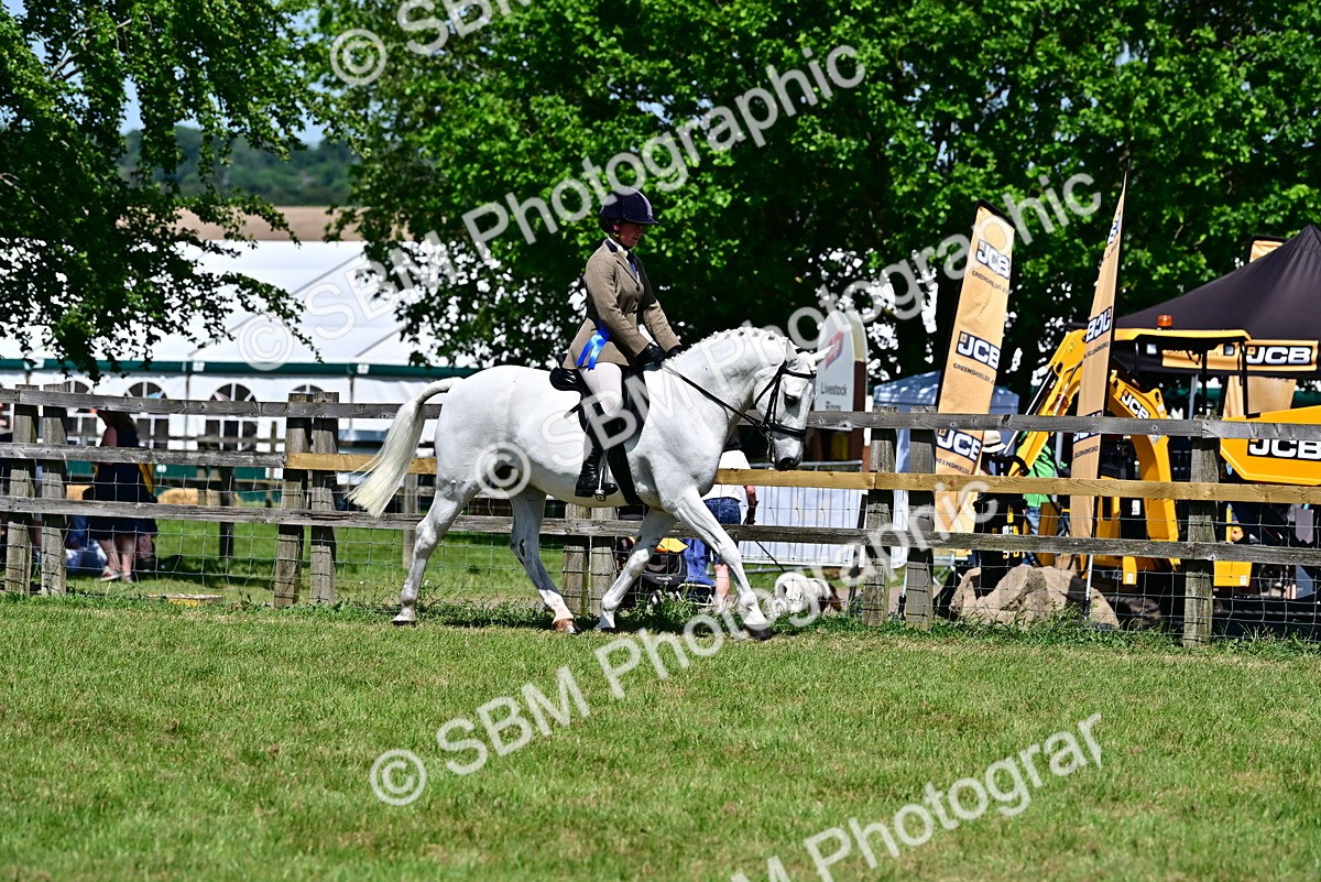 SBM_17535 - Class 95-97 - BSPS LHS Performance Ponies