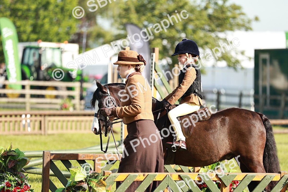 SBM_11286 - Class 106-107 - BSPS LIHS Working Sports Pony