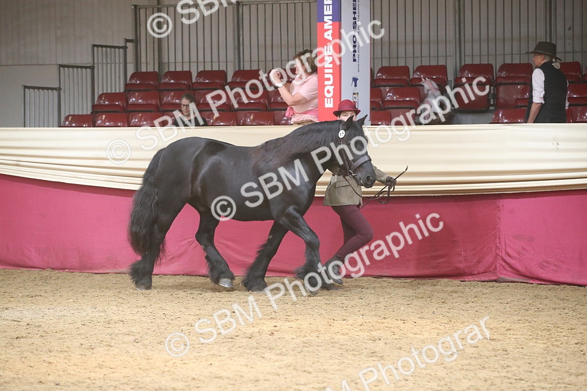 SBM_05497 - Class 9R - Regional IH Pre-Vet