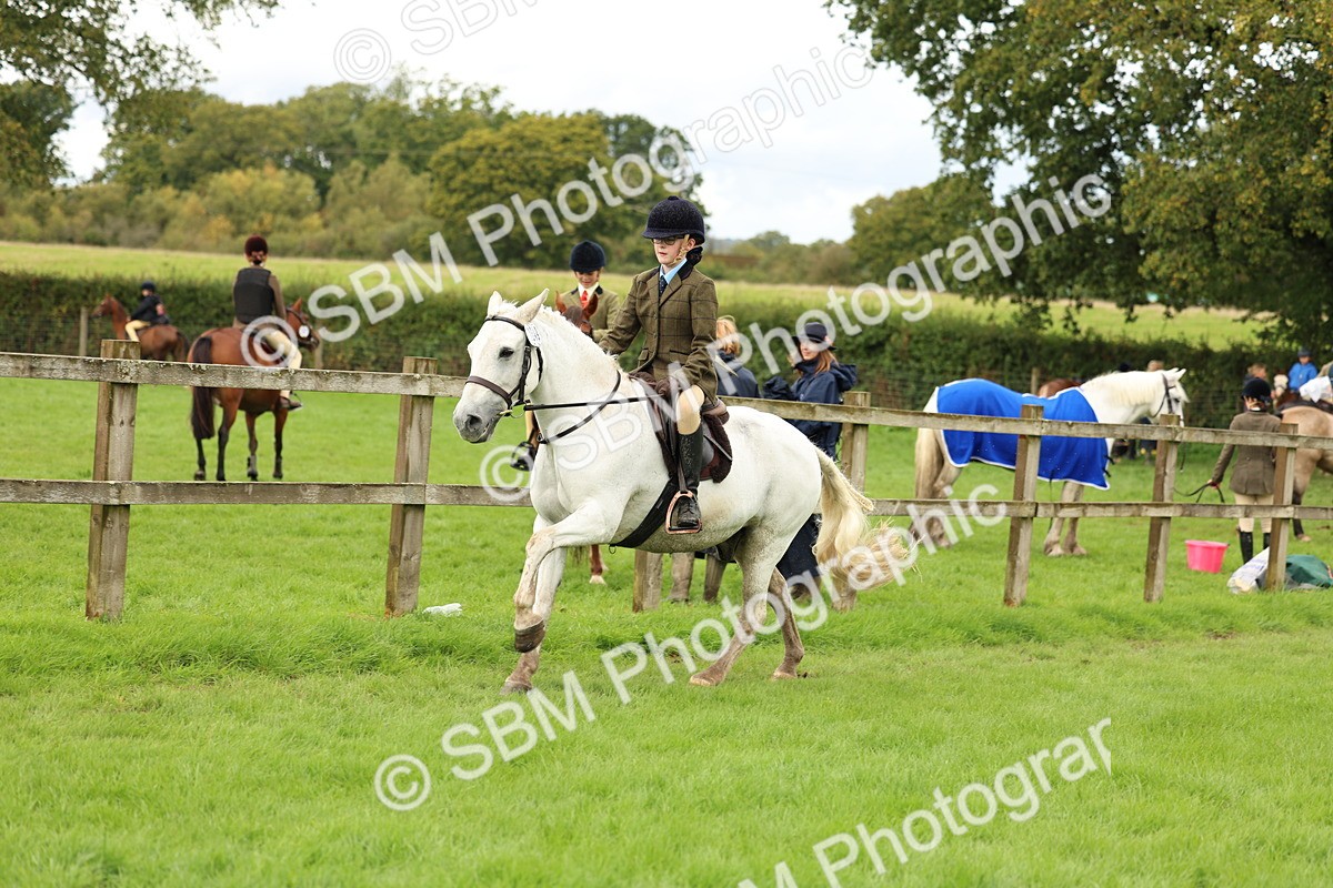SBM_45359 - S33 - Working Hunter Pony