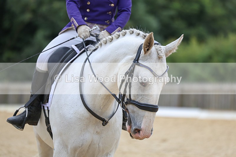 3E7A5922 - Class 3: Prelim 4 2024 - Section A