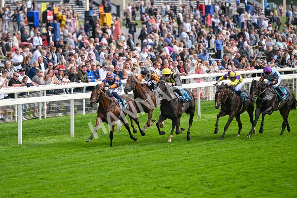 080925-Race 4-Zain Blue-7609 - Race 4 4.00pm Sky Bet Extra Places Middle Distance Handicap