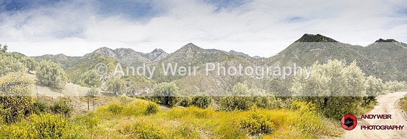 190517-untitled-1L4A1266-Edit-Edit - Abroad