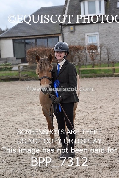 BPP_7312 - RING 1  (RIDDEN HORSES / IN HAND / VETERAN ETC)