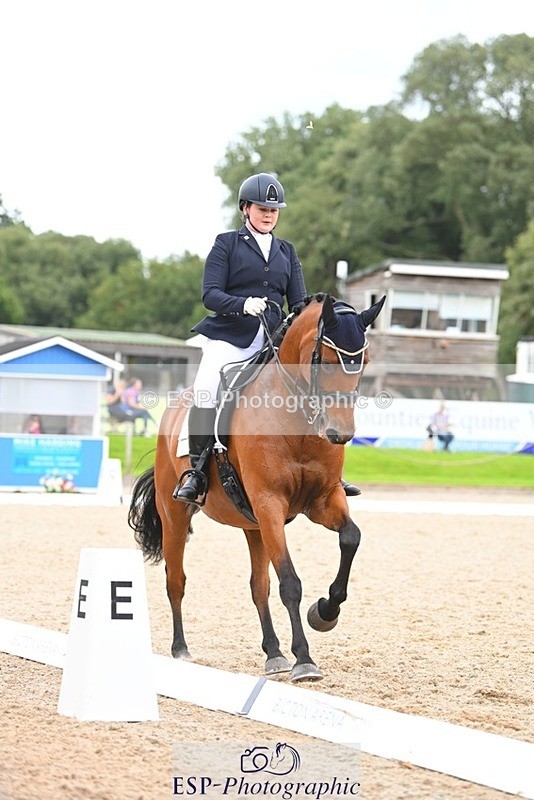 230813-132605-07561 - Cls 13 Medium Bronze 13.15 to End