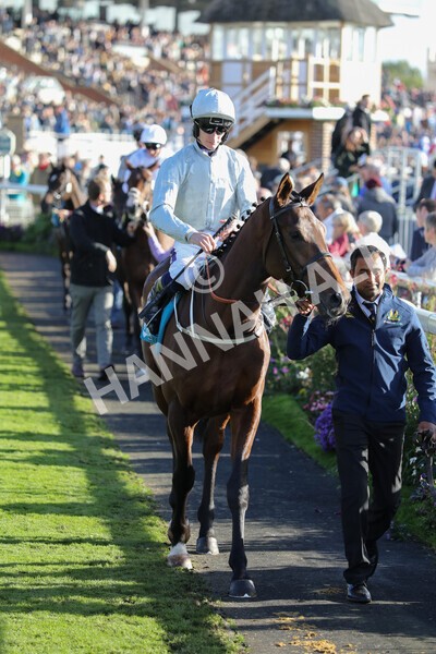 yr08102022r5-15 - Race 5 3.50pm The Coral Committed To Safer Gambling EBFStallions.com Maiden Stakes