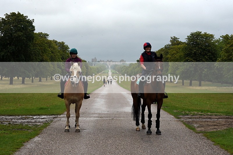 TT3_8221 - Time at Crossing 10:16 to 11:38