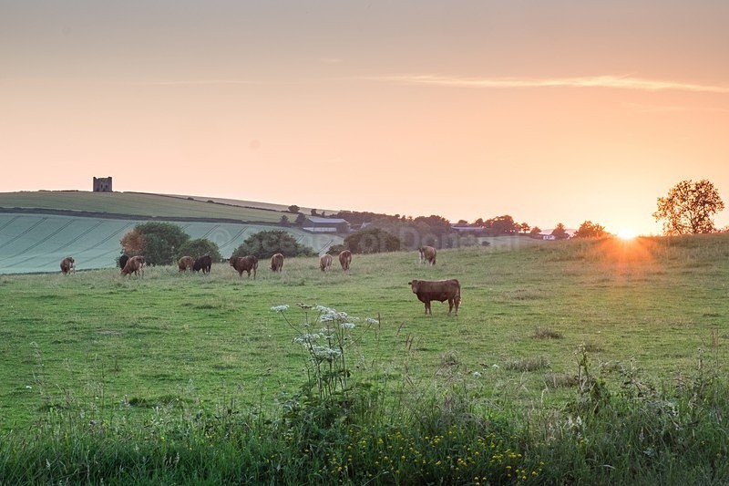 DSCF9692 - South Inishowen