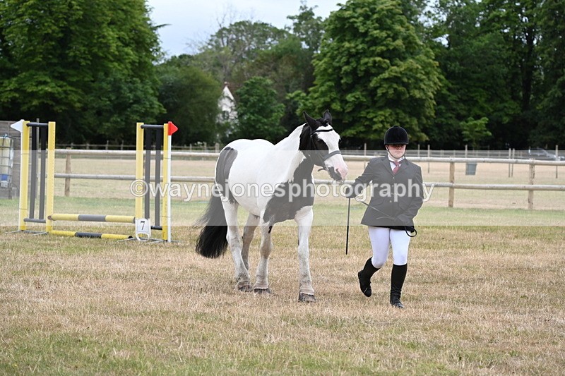 WJ6_4357 - Class 10 Coloured In-hand