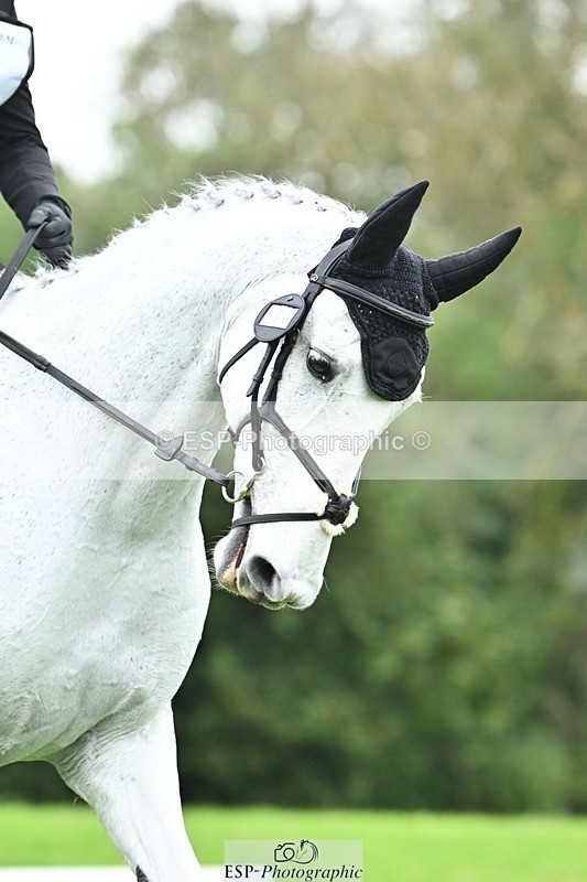 241024-105619-02317 - 313-Chloe.Chamulewicz-XYZ.BILL