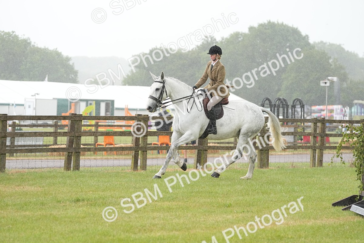 SBM_12669 - Class 97-98 - LIHS BSHA Rising Star Working Show Horse Hunter