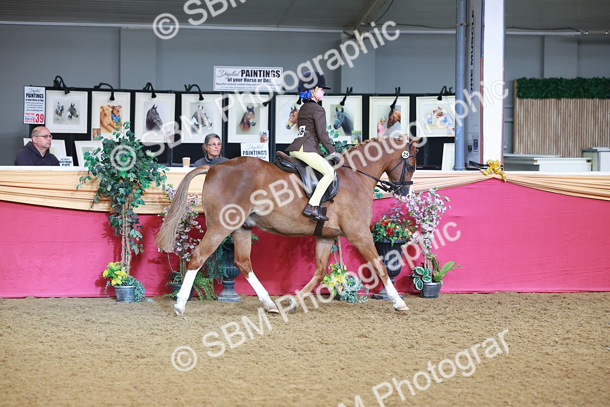 SBM_07655 - Class 101 - HOYS Veteran Qualifier - Ridden Diamond