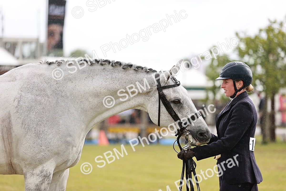 SBM_10998 - Class 81-84 - RIHS Ridden hunters Inc Ladies Hunter