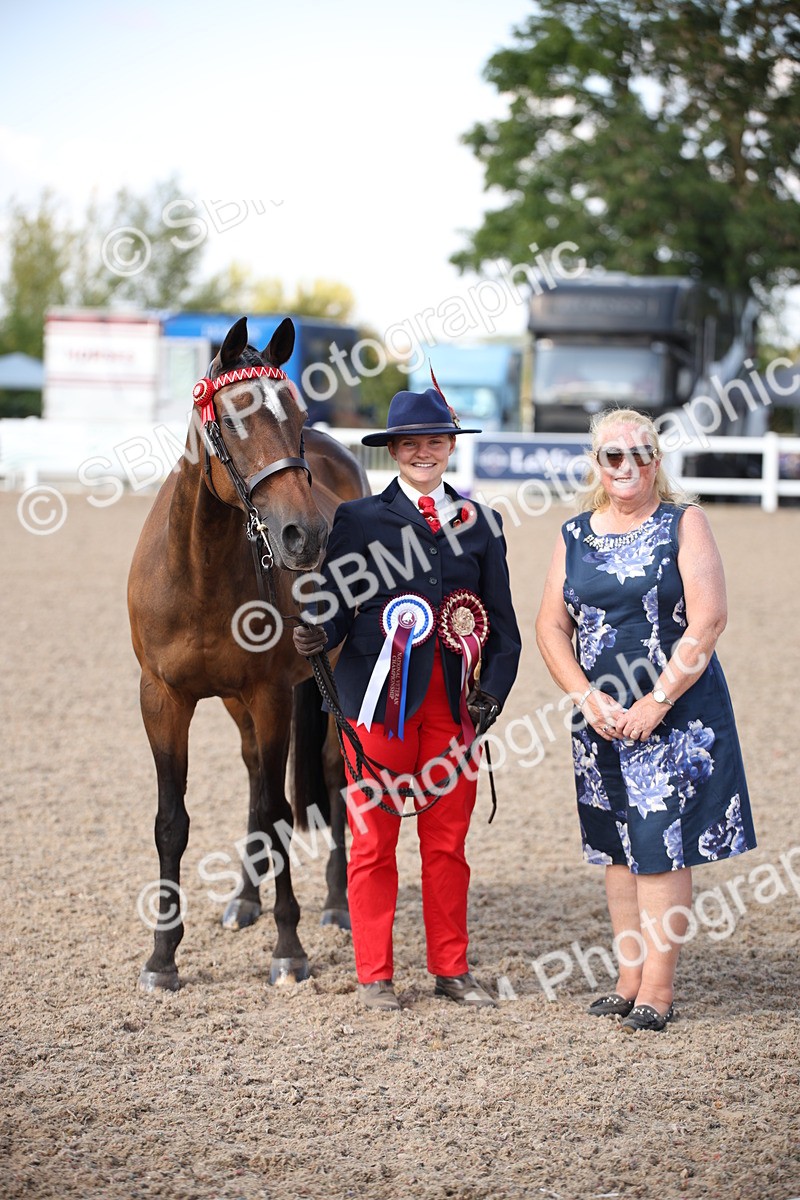 SBM_03068 - Class 17 Prettiest Mare IH or Ridden