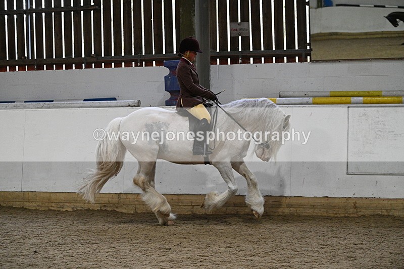 WJ7_3860 - Class 17 Ridden Cob
