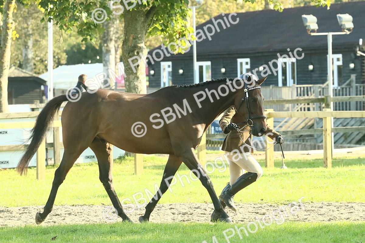 SBM_58559 - S37 - Starters In Hand Showing