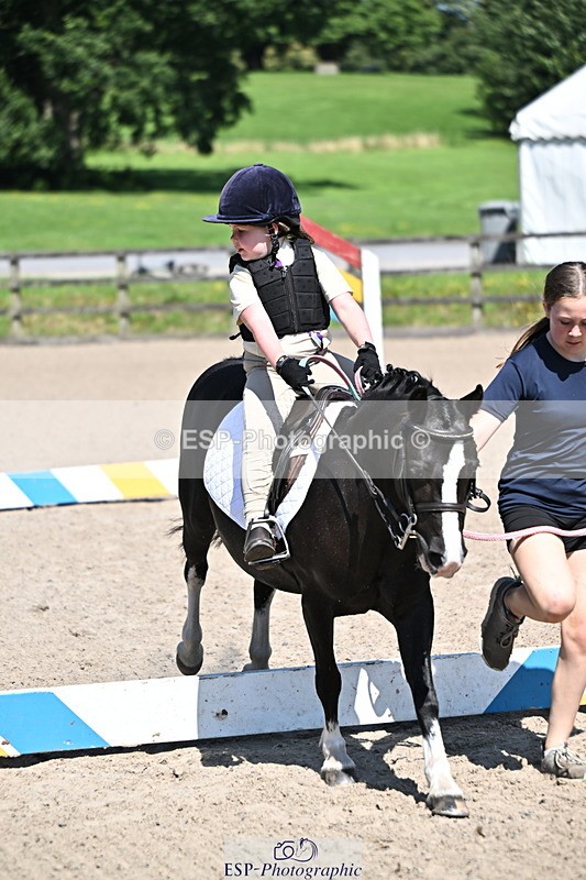 240729B-112859-02392 - Showjumping Competition