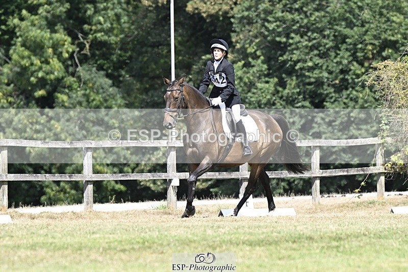 250822A-115421-22422 - DR 11.00 to 12.00