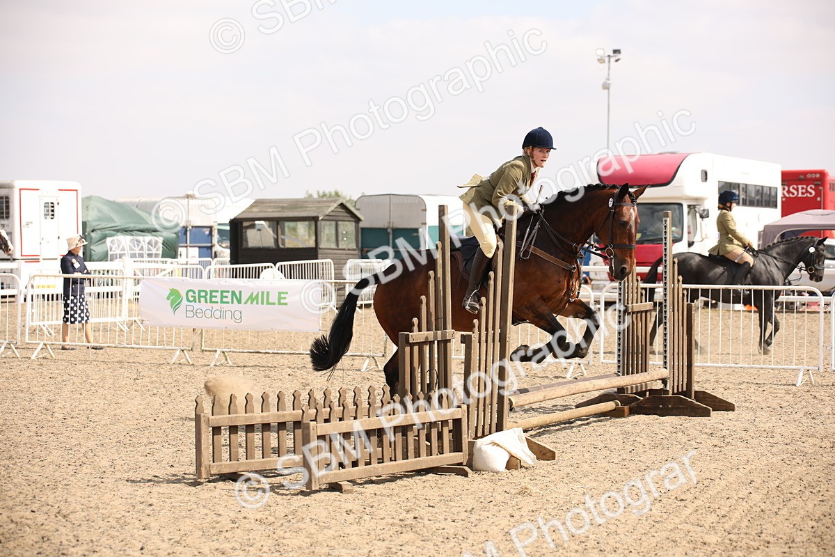 SBM_14346 - Class 407b - Working Veteran 60cm (20+)