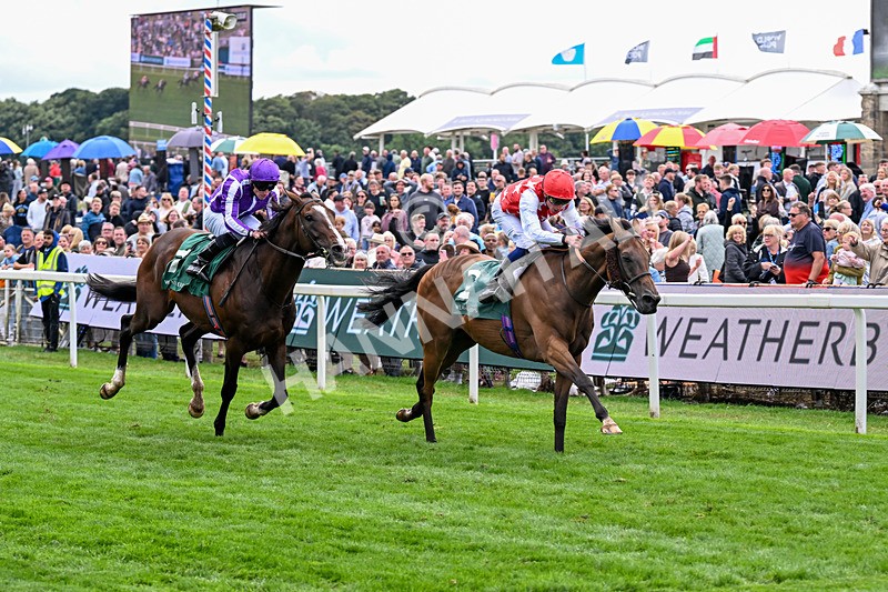 210826-Race 2-Al Nayyir-5410 - Race 2 14.25pm Weatherbys Lonsdale Cup Stakes