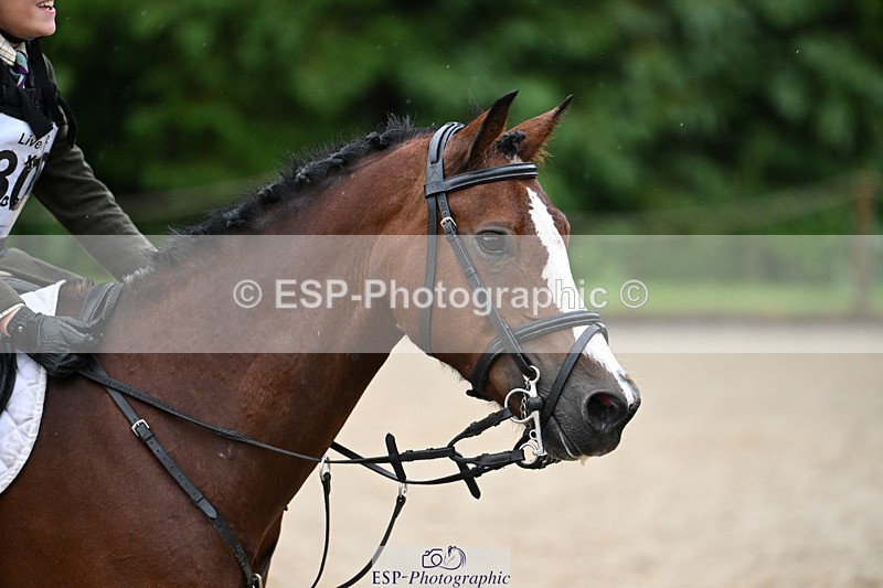 240824X-094452-23349 - 70cm Round 2 9.30 to 10.30